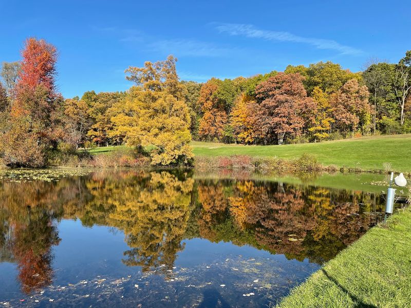 Lakes That Give The Gardens Their Name