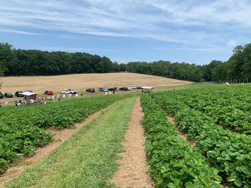 Larriland Farm, Woodbine, MD
