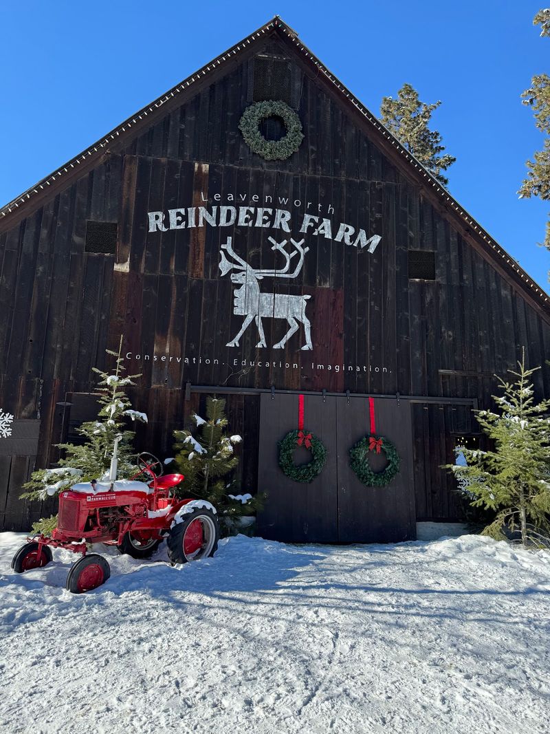 Leavenworth Reindeer Farm, Leavenworth, Washington Leavenworth Reindeer Farm, Leavenworth, Washington