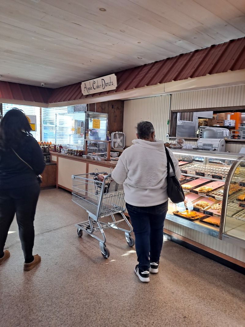 Legendary Apple Cider Donuts You Have to Try Hot