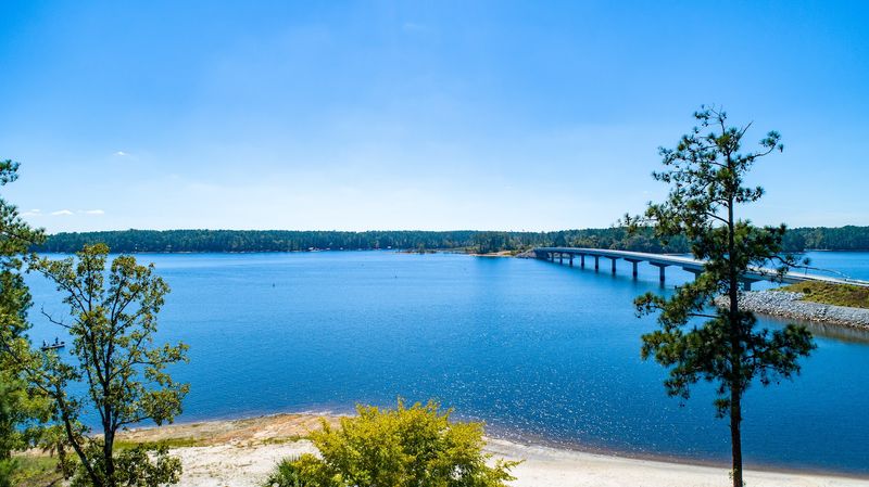 Life Along Lake Thurmond