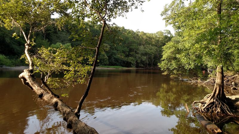 Life Along the Edisto River Life Along the Edisto River