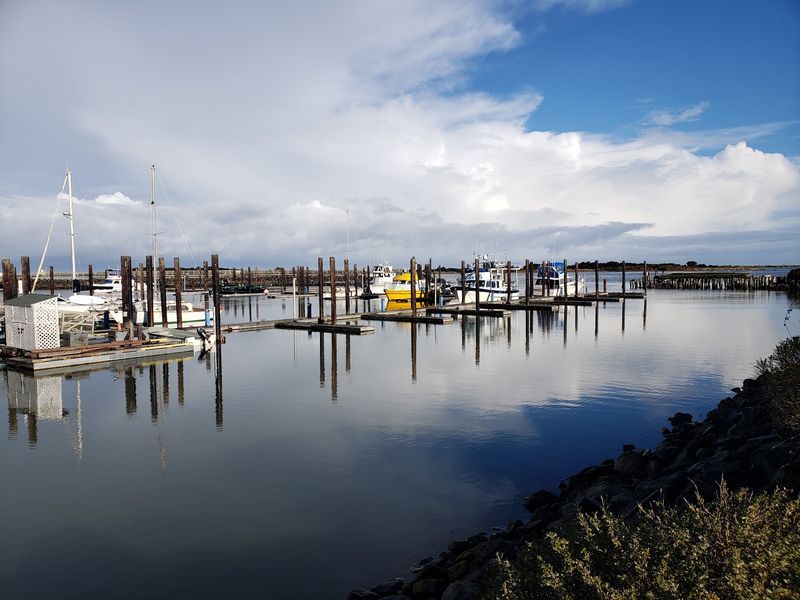 Life Along the Waterfront