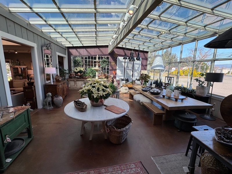 Lighting, Lamps, and Standout Accents