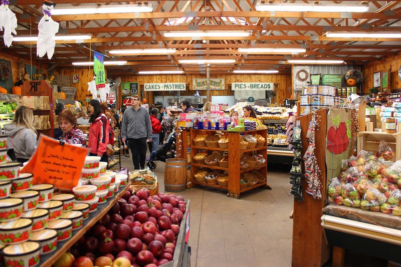 Linvilla Orchards, Media, PA