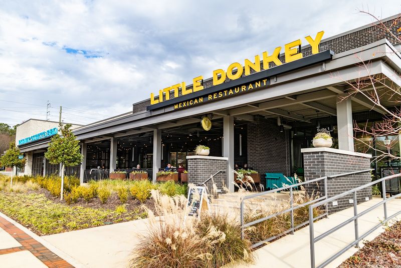 Little Donkey, Homewood