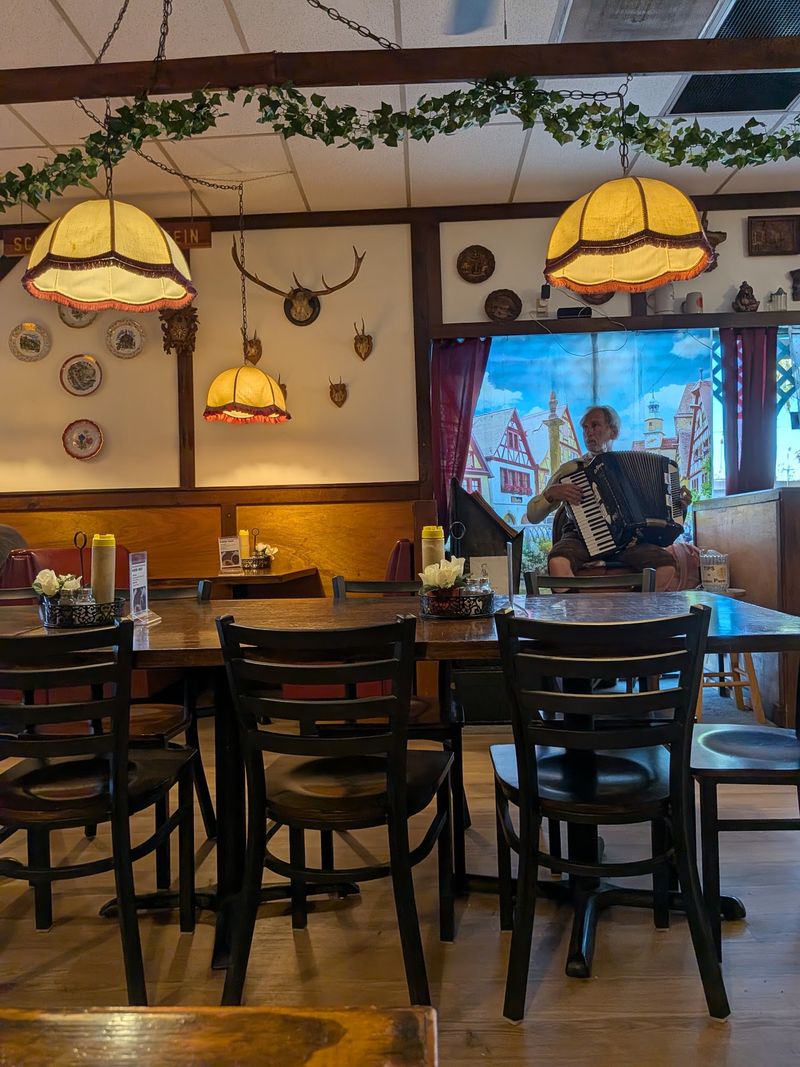 Live Accordion Music That Sets the Mood