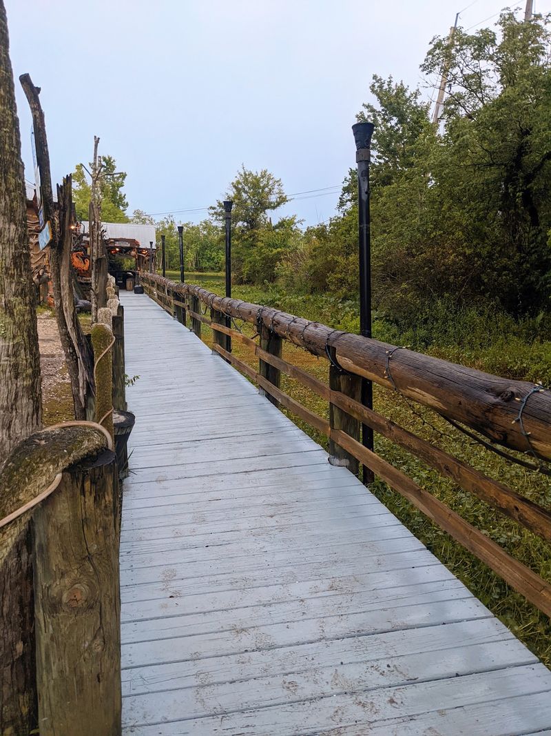 Live Gators and a Boardwalk Along the Water Live Gators and a Boardwalk Along the Water