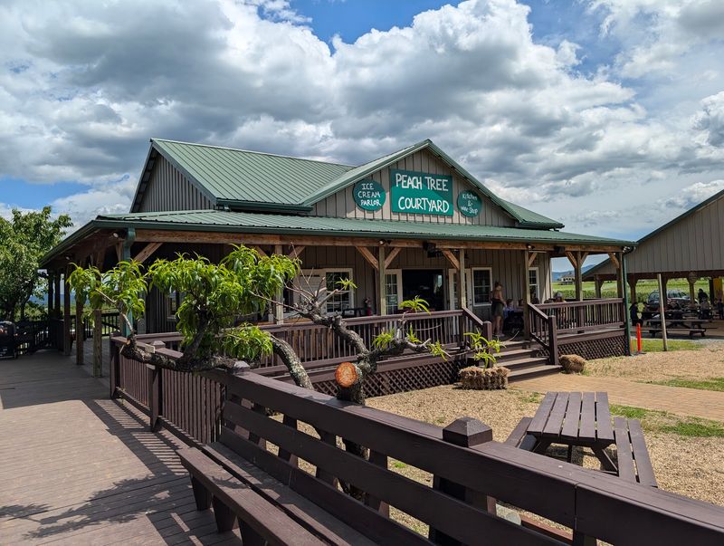 Live Music and Seasonal Events