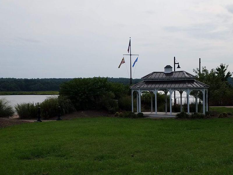 Local Wineries and Craft Beverages Worth Savoring