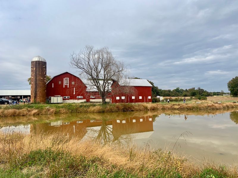Lohr's Orchard, Churchville, MD