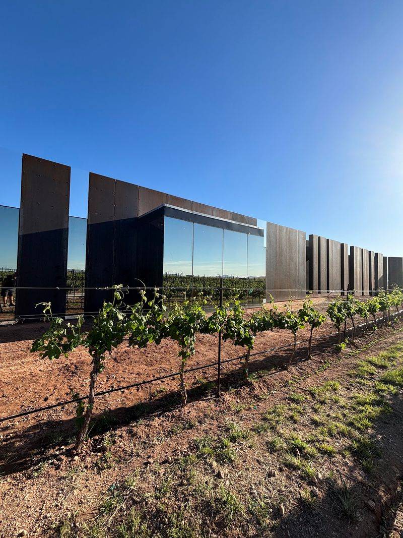 Los Milics Vineyards, Elgin, Arizona