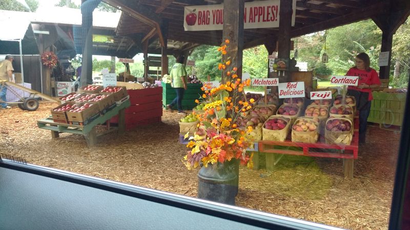 Lyda Farms, Hendersonville, NC
