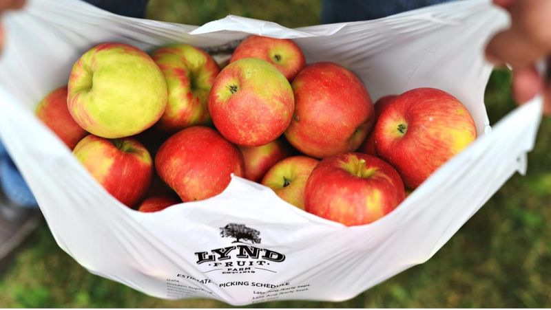 Lynd Fruit Farm, Pataskala, Ohio
