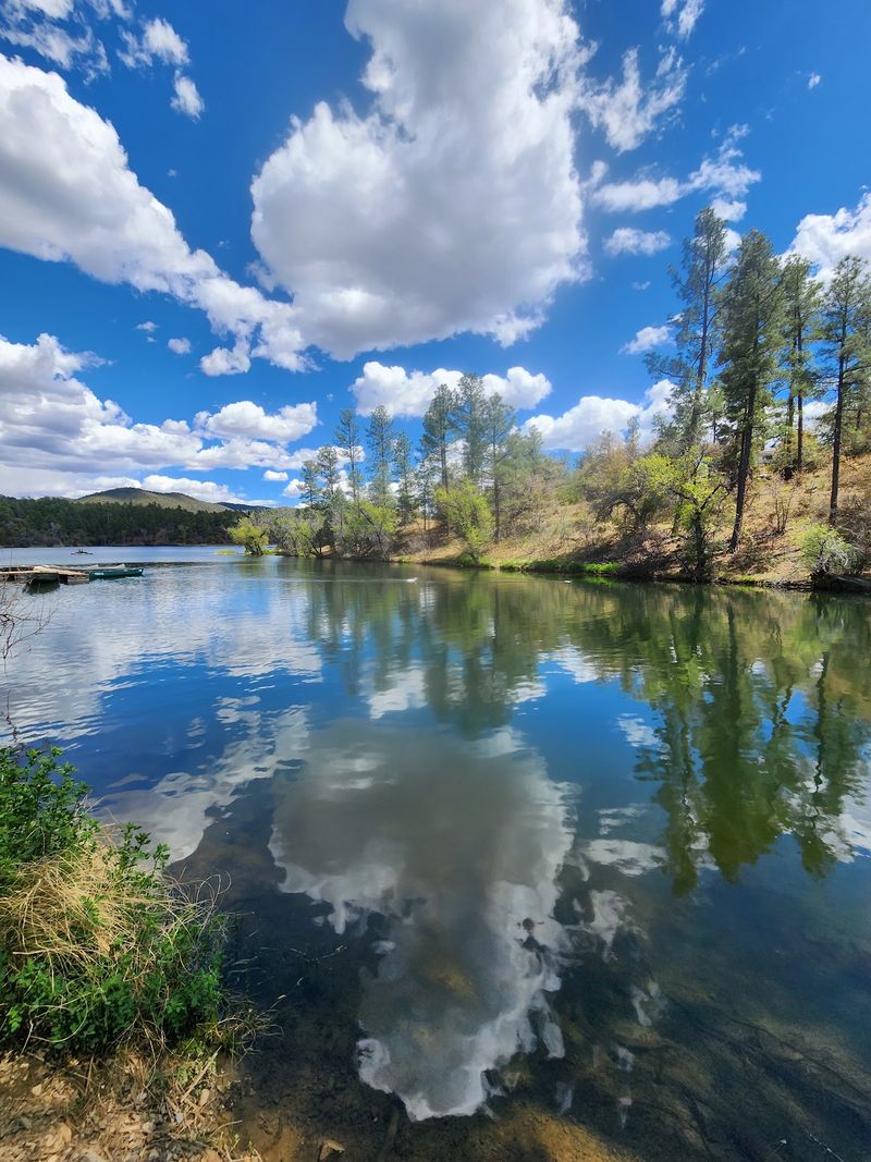Lynx Lake Itself