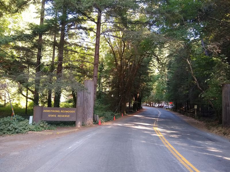 Making the Most of Your Trip to Guerneville and Beyond
