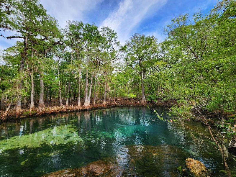 Manatee Springs State Park, Chiefland