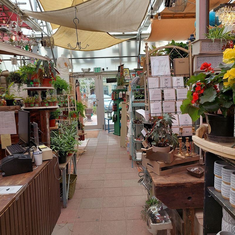 Many Little Shops Living Under One Roof Many Little Shops Living Under One Roof