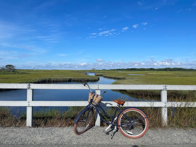 Marsh Views And Wetland Wonders