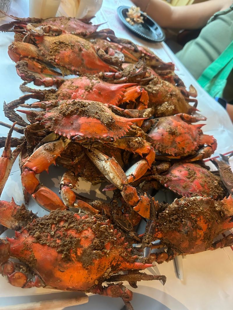Maryland Blue Crabs Take Center Stage