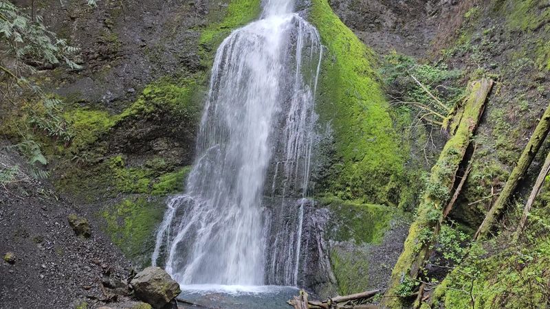 Marymere Falls, Lake Crescent, WA