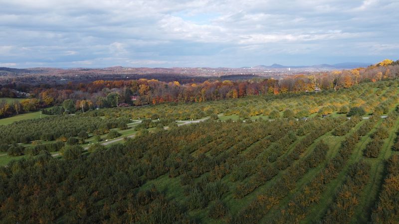 Masker Orchards, Warwick