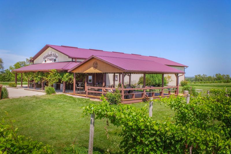 Massbach Ridge Winery, Elizabeth, Illinois Massbach Ridge Winery, Elizabeth, Illinois