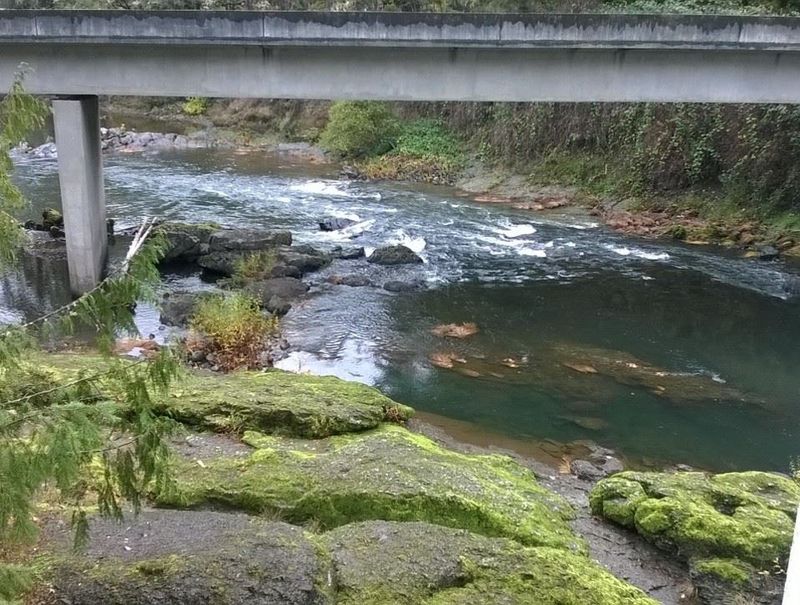 McKenzie River, near Eugene, Oregon