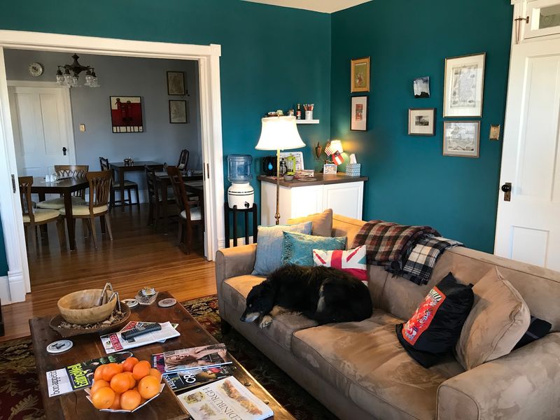 Meet Hamish, the Inn's Beloved Dog