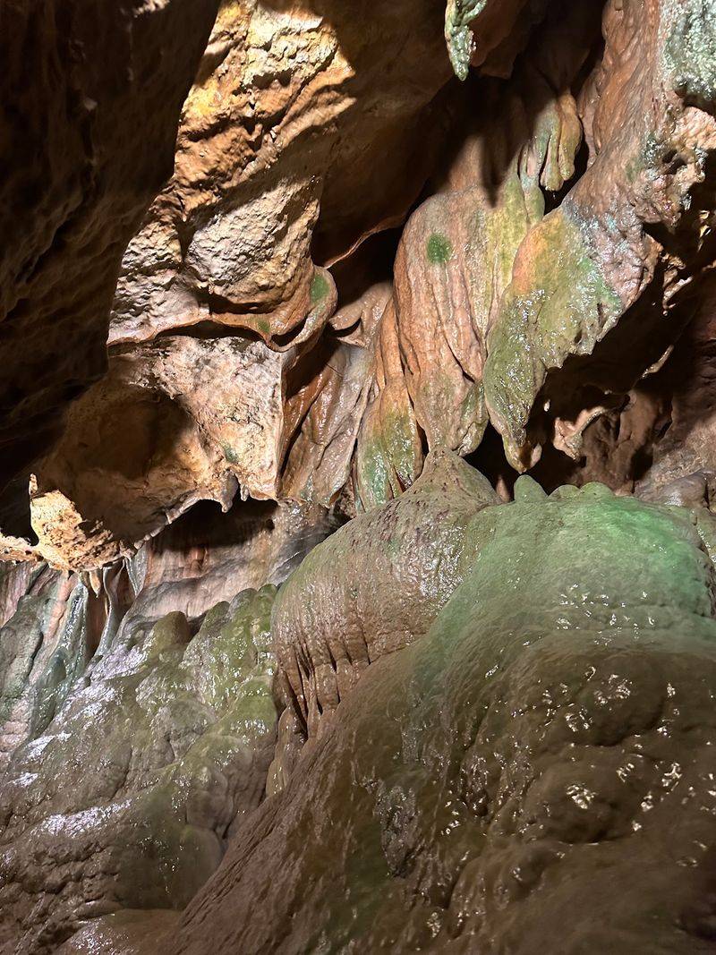Meet The Cave's Tiny Residents