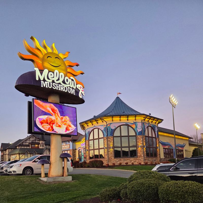 Mellow Mushroom, Sevierville, Tennessee Mellow Mushroom, Sevierville, Tennessee