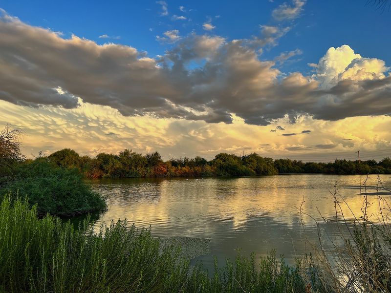 Mental Health Benefits of Walking the Preserve
