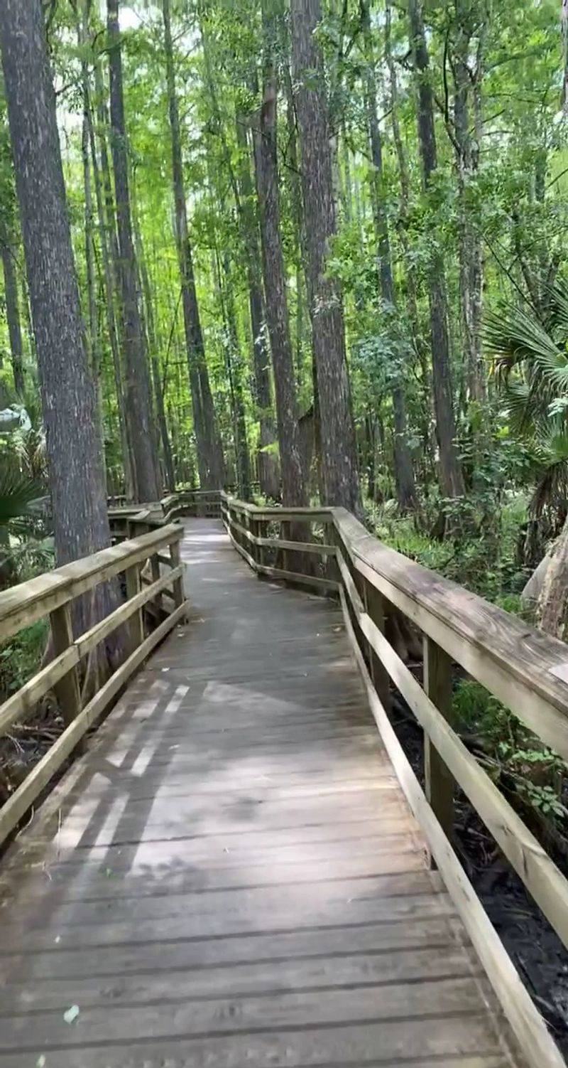 Miles Of Marked Trails To Roam