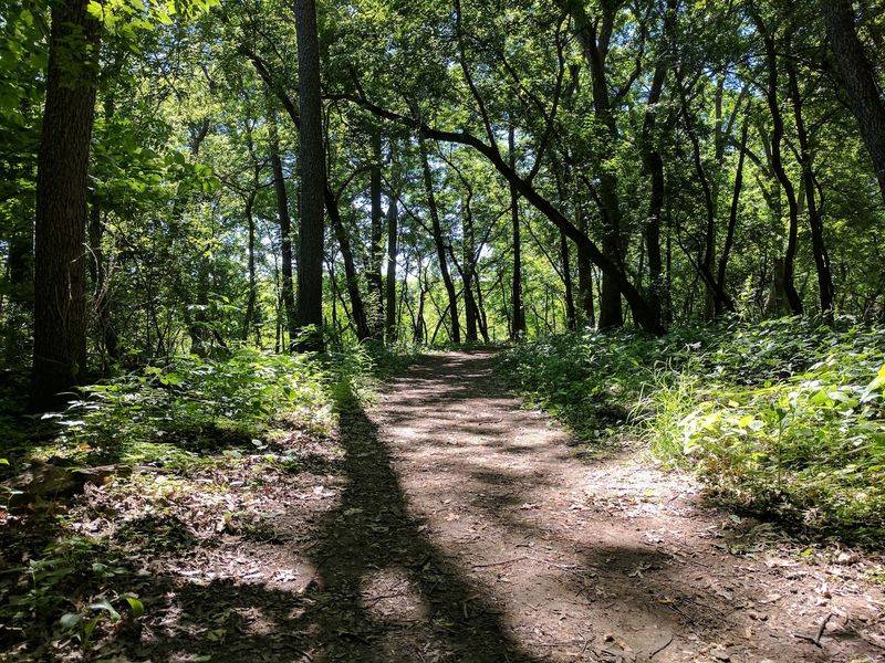 Miles Of Trails Beyond The Bog