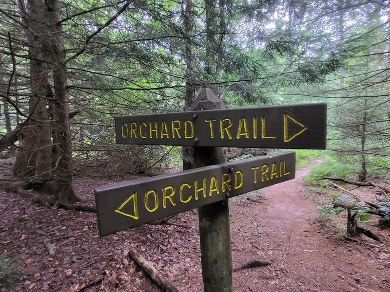 Miles Of Trails For Every Skill Level