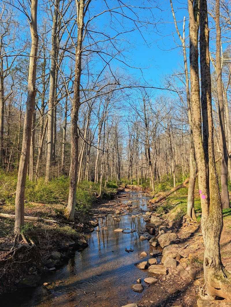 Miles Of Trails Through The Watchung Woods