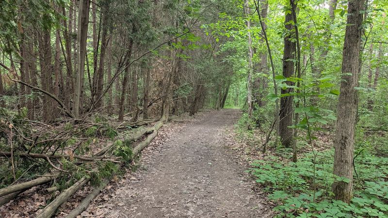 Miles Of Trails Winding Through The Woods
