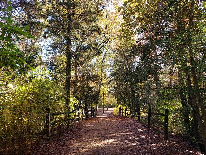 Miles of Hiking Trails for Every Skill Level
