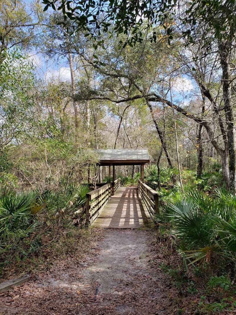 Miles of Quiet Trails Through Native Florida