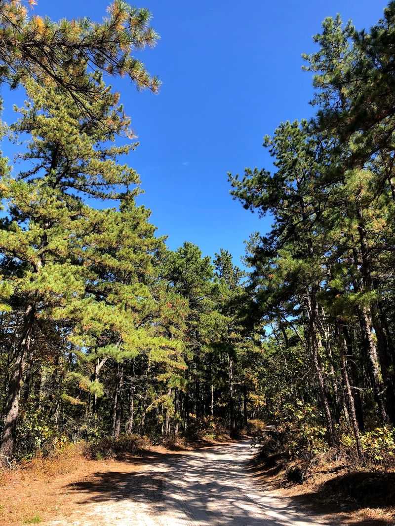 Miles of Trails Without the Traffic