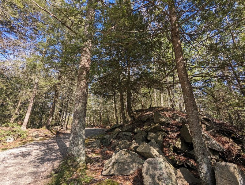Miles of Trails for Every Kind of Walker