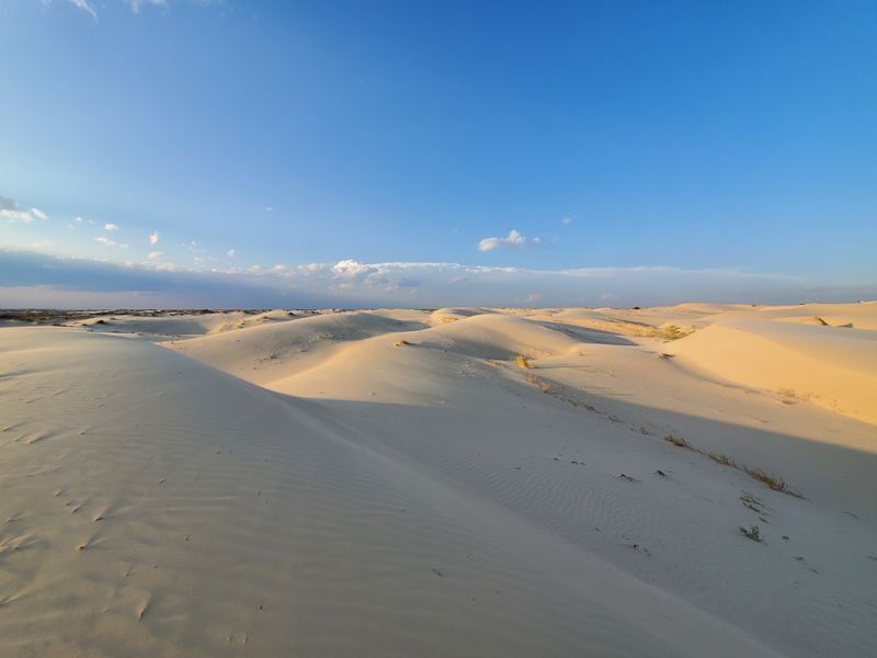 Monahans Sandhills State Park – Monahans, Texas Monahans Sandhills State Park – Monahans, Texas