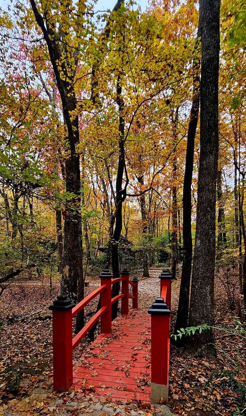Monte Sano State Park, Huntsville, Alabama
