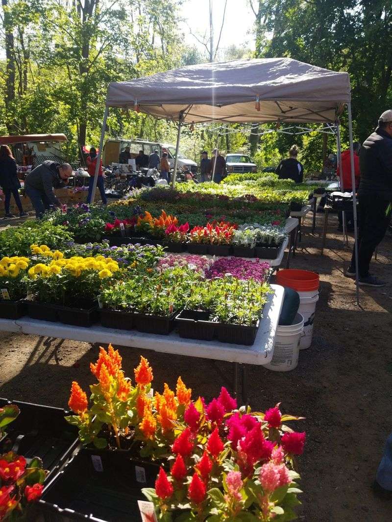 More Than Bargains: Produce, Plants, And A Classic Diner
