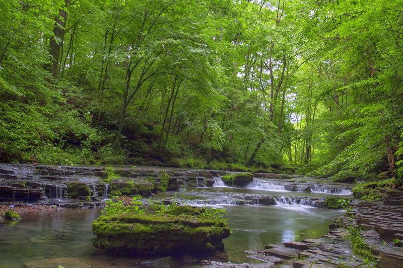 More Than One Cascade to Chase More Than One Cascade to Chase