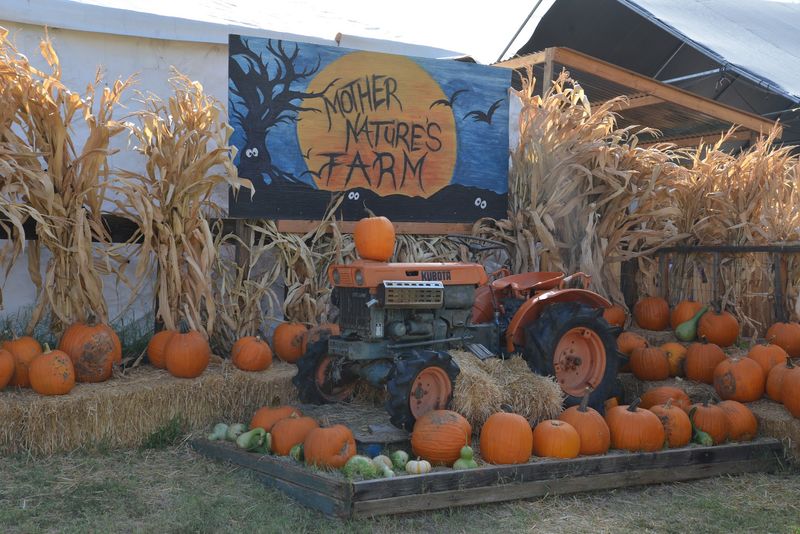 Mother Nature's Farm, Gilbert, Arizona