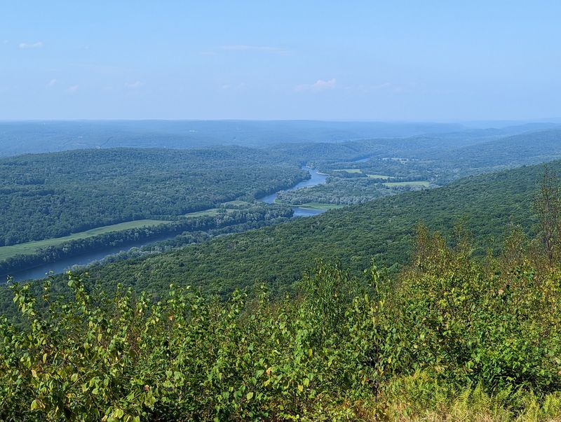Mount Tammany and Its Thousand-Foot Climb Mount Tammany and Its Thousand-Foot Climb