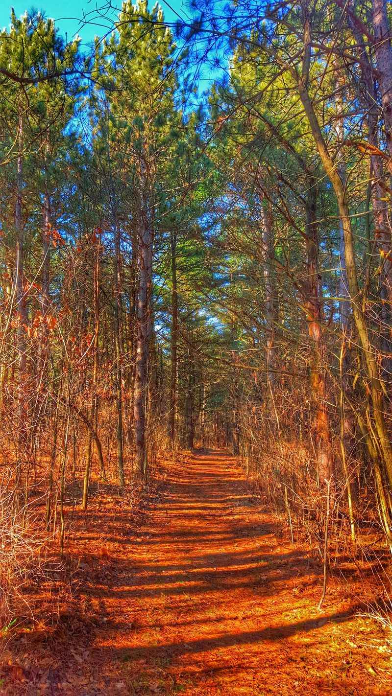 Mountain Bike Routes for Two Wheels