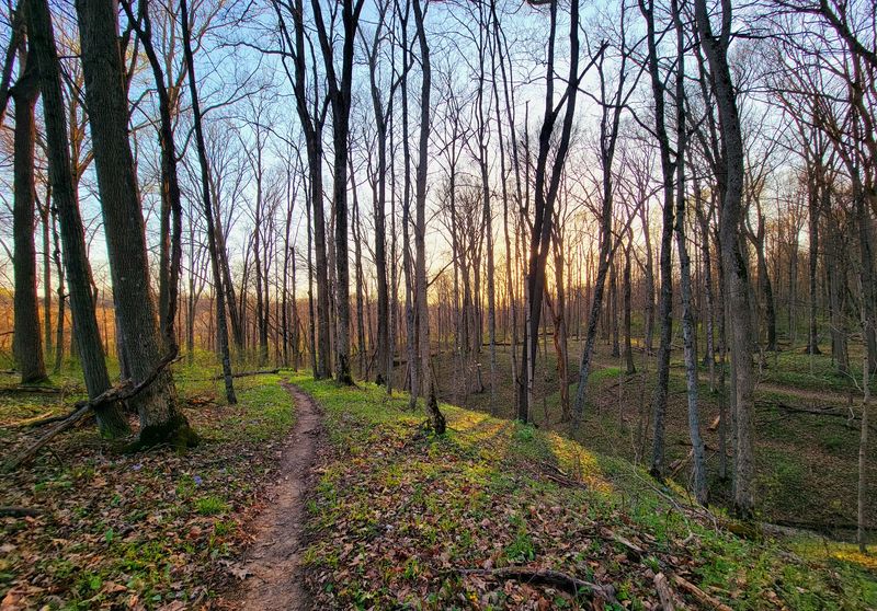 Mountain Bike Trails That Double as Scenic Ridge Walks