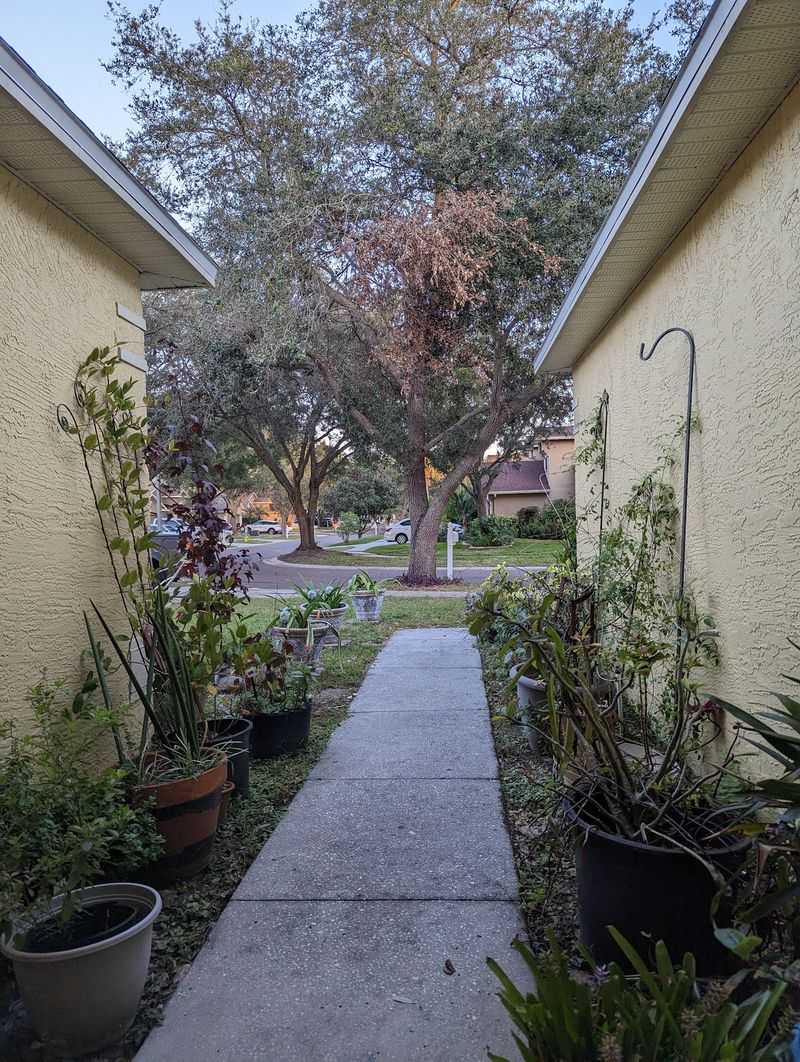 Move-In-Ready Means Less Waiting